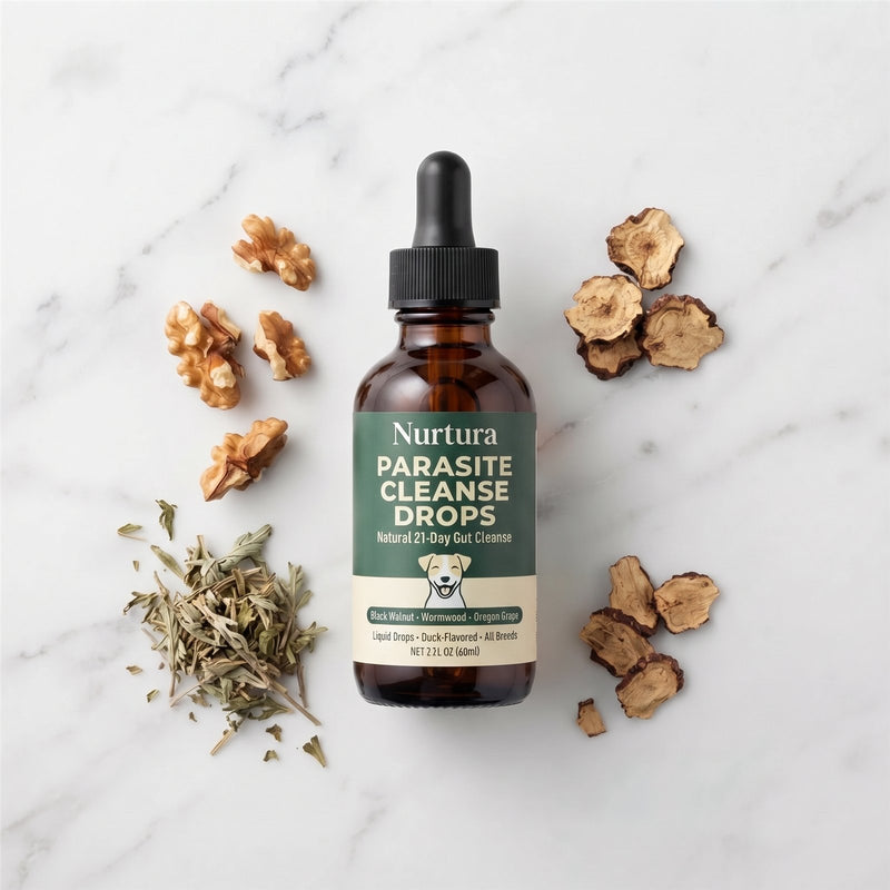 Nurtura Pet Parasite Cleanse Drops with walnuts and dried roots